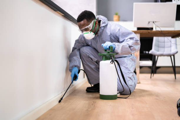 Best Commercial Pest Control  in Woodridge, IL